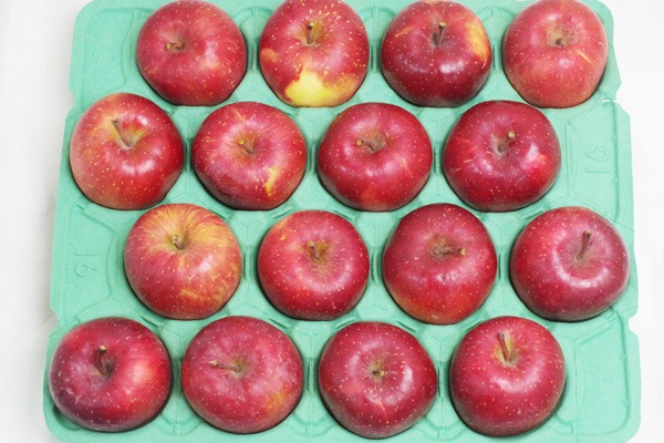 ��̵���������������ݡۤ�󤴡ʤդ���4.5kg���Ŀ�������Ҥ�������ϡ��������ߡ�Ʊ���Բġۢ�11/25(��)����