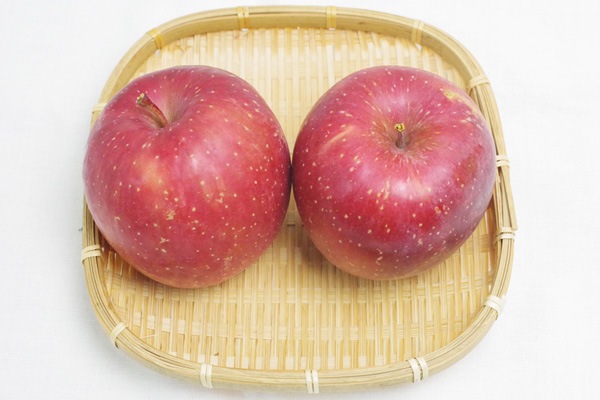 ��̵���������������ݡۤ�󤴡ʤդ���2�̡��Ŀ�������Ҥ�������ϡ�v800�ۢ�11/25(��)����ʬ