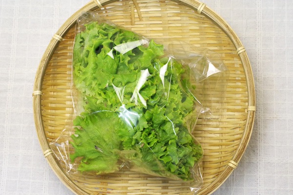 ��̵�������������ݡۥ��꡼��꡼�ա����縩�����ȥĥ���ߥե�����ϡ�v600�ۢ�1/12(��)ȯ��ʬ