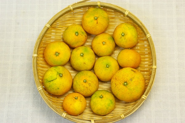 ��̵�������������ݡ۶������ߥ���1kg �ߤ���ε��������𤲤�ߥ���餷����̣�η��ܸ�����ǵ����������ϡ�v1000��