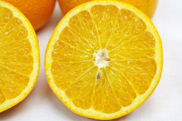 ��̵�������������ݡ۹�Ȭ��ʤϤä�����1kg�ι��縩���񹭼�����������ϡ�v1000��