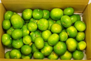 ̵ݡ۶ߥ5kg ߤε𤲤ߥ餷̣ηܸǵϡv5000