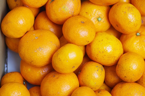 ��̵�������������ݡ۲����ߥ���5kg �Τ�ͤ��Τ���˷�ߤ�����²λ������ޤĤ�������ϡ�v5000��