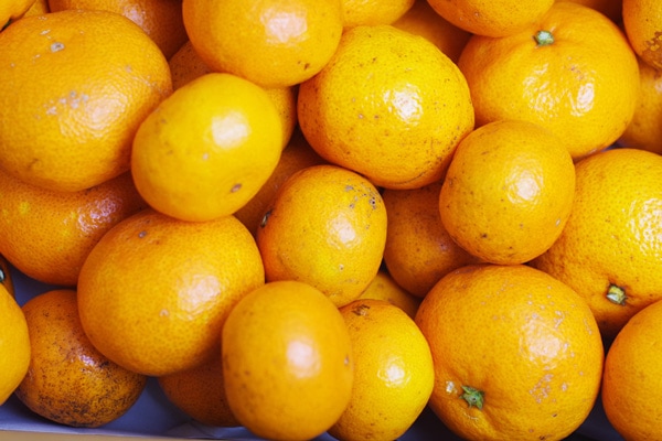 ��̵�������������ݡ۲����ߥ���5kg �Τ�ͤ��Τ���˷�ߤ�����²λ������ޤĤ�������ϡ�v5000��