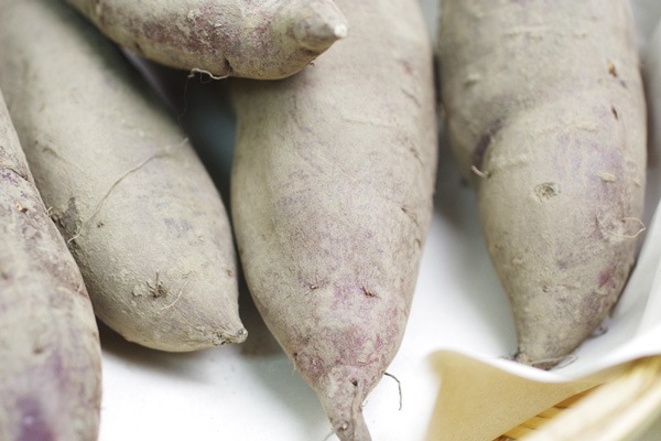 ̵ݡۥĥޥʥ륯ȡ1kgηܸ˭ʺҡϡv1000ۢǤ