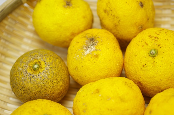 無肥料 自然栽培 柚子 ゆず 1kg 愛媛県 はなきファーム V1000 果物 ハート Netshop