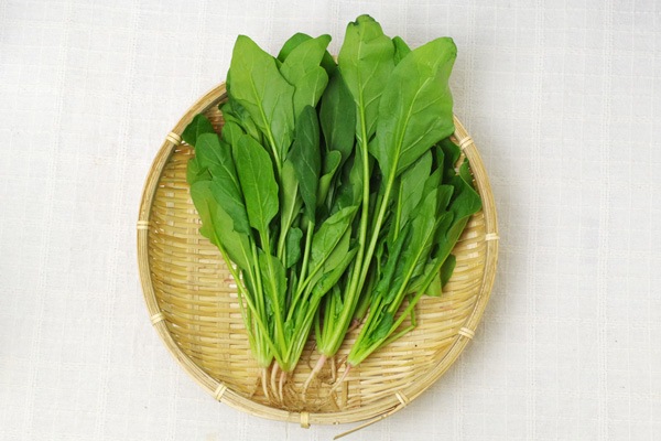 ̵ݡۥۤ縩ȥĥߥեϡv400ۢ5/27()ȯʬ