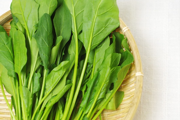 ̵ݡۥۤ縩ȥĥߥեϡv400ۢ5/27()ȯʬ