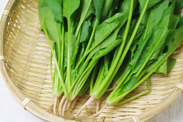 ̵ݡۥۤ縩ȥĥߥեϡv400ۢ5/27()ȯʬ