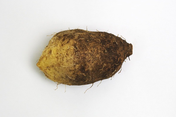 ��̵�������������ݡۤĤ��Ͱ�����°����700g Ǵ�굤���ֹ������Ǥ�Ȥ�����Ĺ�긩��������꼫������ϡ�v800��