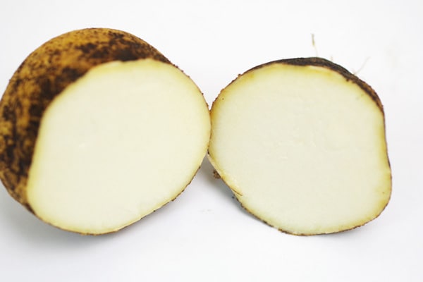 ��̵�������������ݡۤĤ��Ͱ�����°����700g Ǵ�굤���ֹ������Ǥ�Ȥ�����Ĺ�긩��������꼫������ϡ�v800��