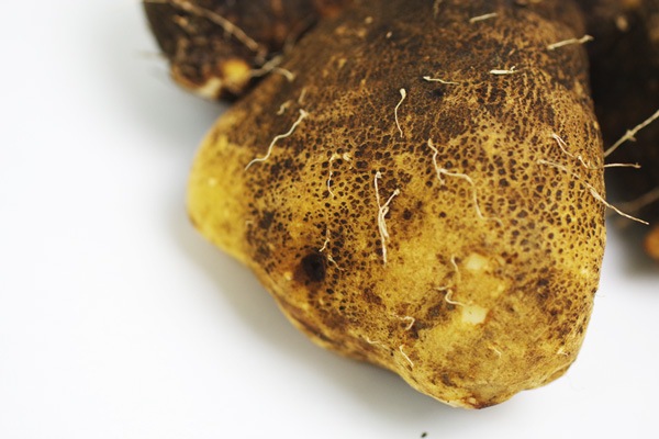 ��̵�������������ݡۤĤ��Ͱ�����°����700g Ǵ�굤���ֹ������Ǥ�Ȥ�����Ĺ�긩��������꼫������ϡ�v800��