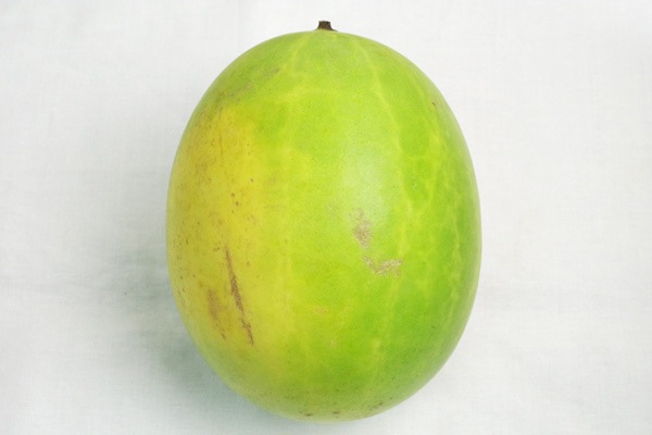 ̵ݡ۸ʥ ̴ޤ̳ƻClubϡ v3500