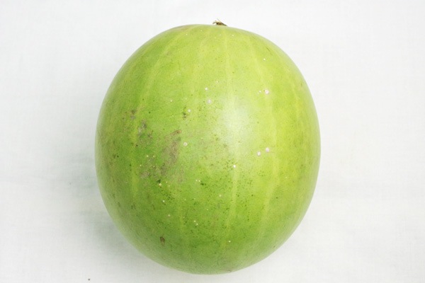 ̵ݡ۸ʥ ̴ޤ̳ƻClubϡ v3500