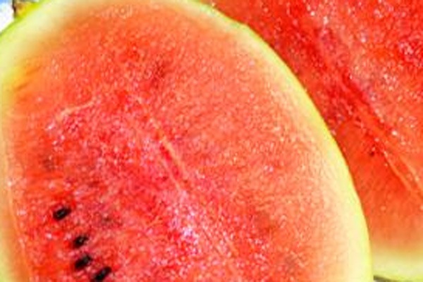 ̵ݡ۸ʥ ̴ޤ̳ƻClubϡ v3500