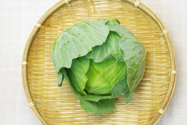 ��̵�������������ݡۥ���٥ġε����ܡ��ݥȥ�ե�����ϡ�v1800�ۢ�7/4(��)ȯ��ʬ