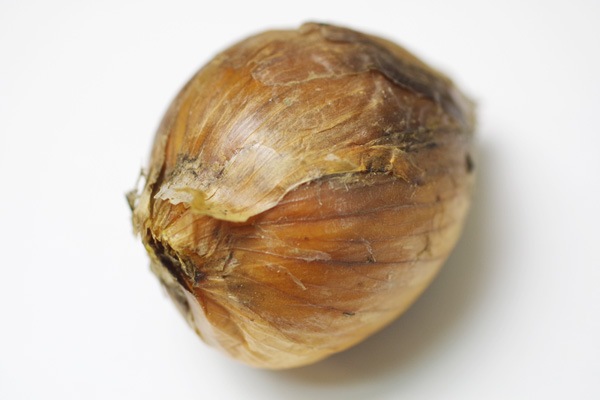 ��̵�������������ݡ۶̤ͤ�5kg�η��ܸ��������ݤ���ϡ�v5000��