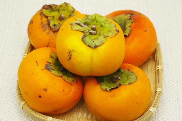 ̵ݡ۳1kgˡ²λäϡv1000ۡ111()ʬ