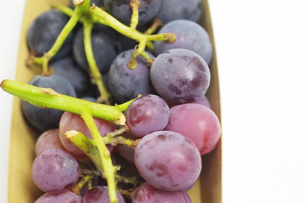 ̵ݡƺƣ̭ȰƦ450gεܡHANDOVER FARMϡv1000ۢ8/28()ͽ