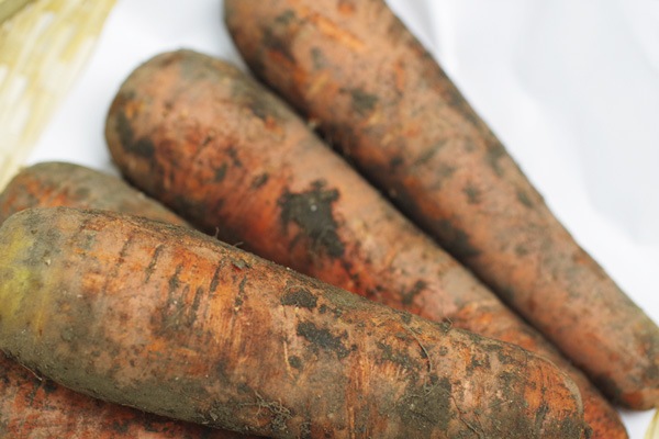 ̵ݡۥ˥󥸥1kg̳ƻƣϡv1000֤ۢ