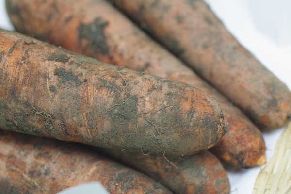 ̵ݡۥ˥󥸥1kg̳ƻƣϡv1000֤ۢ