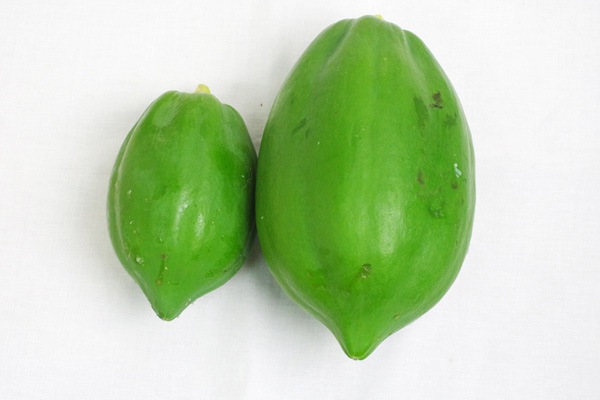 ��̵�������������ݡ��ĥѥѥ���1kg ���Υ���ѥ��������ʬ�򥹡��ѡ���ڡι��縩���񹭼�����������ϡ�v1200��