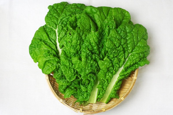 ��̵�������������ݡۤ��Ĥ��ڡε����ܡ��ݥȥ�ե�����ϡ�v400�ۢ�4/12(��)ȯ��ʬ