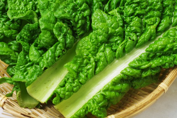 ��̵�������������ݡۤ��Ĥ��ڡε����ܡ��ݥȥ�ե�����ϡ�v400�ۢ�4/12(��)ȯ��ʬ