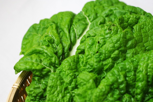 ��̵�������������ݡۤ��Ĥ��ڡε����ܡ��ݥȥ�ե�����ϡ�v400�ۢ�4/12(��)ȯ��ʬ