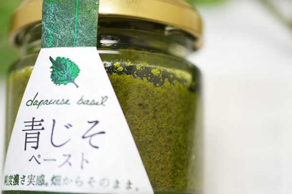 ��̵�������������ݡ��Ļ��ɥڡ����ȡ����͹⻳�褷������ˡ���Ź���ȯ���ۡ�v100��