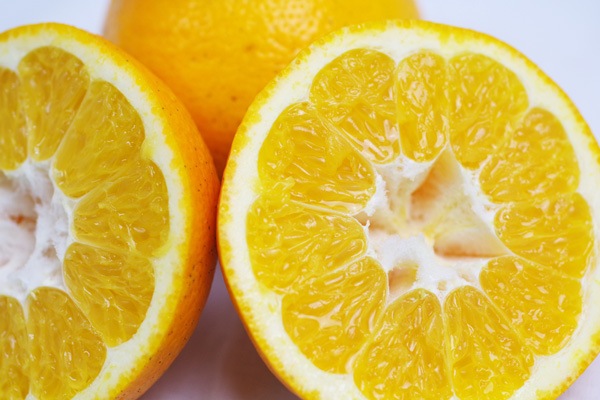 ��̵�������������ݡ۰�ͽ��1kg ˧��ʹ�ꡦ�˾�����������塼���ΰ�ɲ���� ��������ϡ�v1000��