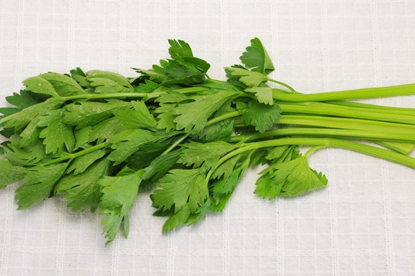 ��̵�������������ݡۥ����� ���äʹ��ȿ����α���˭�٤ʤ���ڡε����ܡ���������ϡ�v400�ۢ�4/26(��)ȯ��ʬ