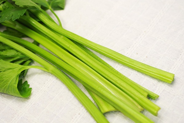 ��̵�������������ݡۥ����� ���äʹ��ȿ����α���˭�٤ʤ���ڡε����ܡ���������ϡ�v400�ۢ�4/26(��)ȯ��ʬ