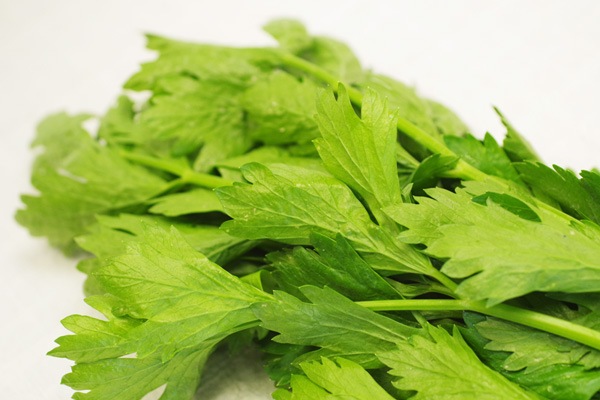 ��̵�������������ݡۥ����� ���äʹ��ȿ����α���˭�٤ʤ���ڡε����ܡ���������ϡ�v400�ۢ�4/26(��)ȯ��ʬ