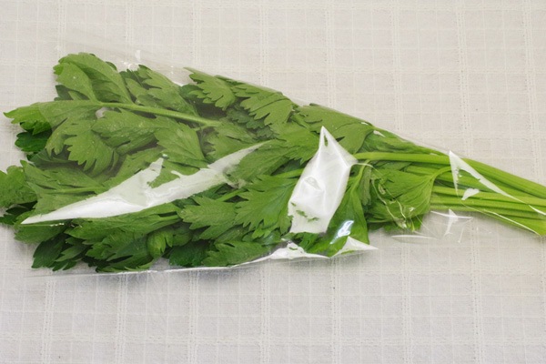 ��̵�������������ݡۥ����� ���äʹ��ȿ����α���˭�٤ʤ���ڡε����ܡ���������ϡ�v400�ۢ�4/26(��)ȯ��ʬ