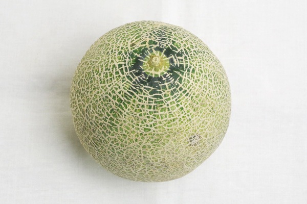 無肥料・自然栽培】ぎんがメロン 訳あり品［北海道：高橋忠さん