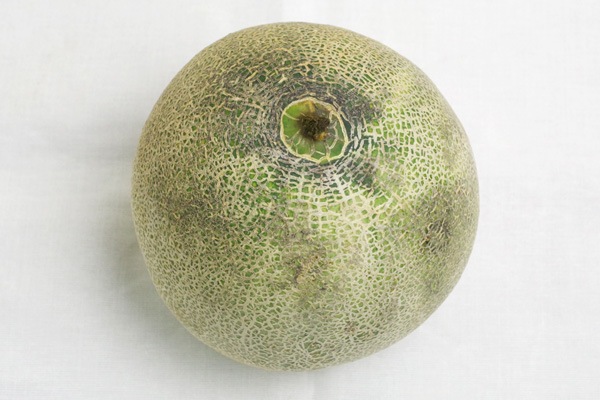 無肥料・自然栽培】ぎんがメロン 訳あり品［北海道：高橋忠さん