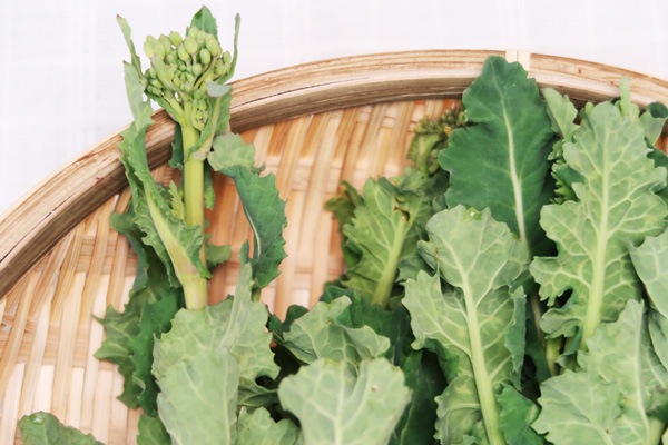 ��̵�������������ݡ۾����ڤκڤβ� �ε����ܡ��ݥȥ�ե�����ϡ�v400�ۢ�4/12(��)ȯ��ʬ