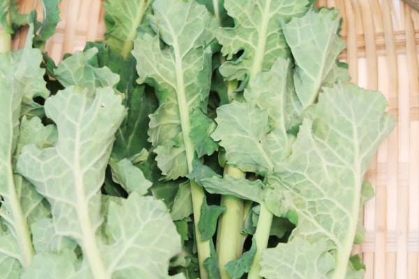 ��̵�������������ݡ۾����ڤκڤβ� �ε����ܡ��ݥȥ�ե�����ϡ�v400�ۢ�4/12(��)ȯ��ʬ