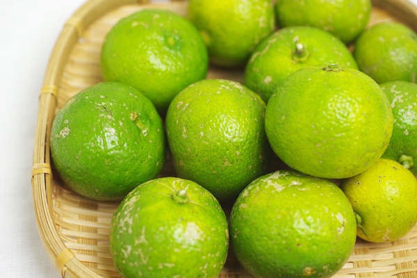 ��̵�������������ݡ�ͮ�ҡʤ椺����500g�η��ܸ������Ĥ褷����ϡ�v500��