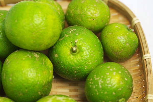 ��̵�������������ݡ�ͮ�ҡʤ椺����500g�η��ܸ������Ĥ褷����ϡ�v500��