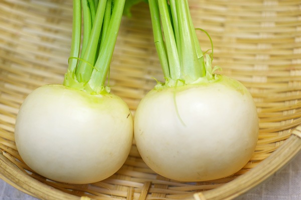 ��̵�������������ݡ۾����֡ε����ܡ�������ʿ�ϡ�v400�ۢ�5/10(��)ȯ��ʬ