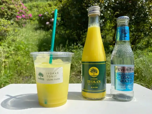 ̵ݡ۰ͽ塼720ml 餴ȺäͤΥ塼v800