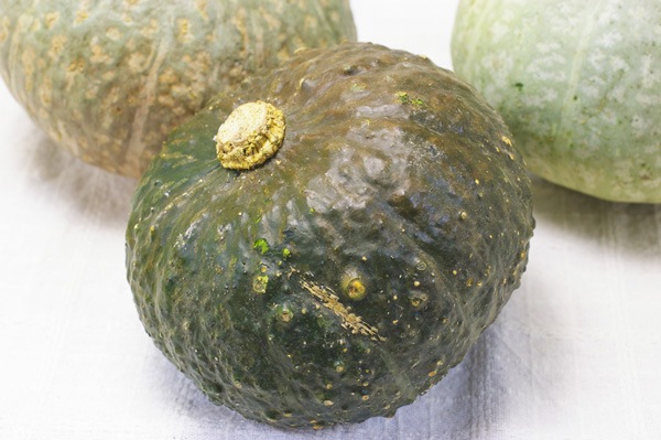 ̵ݡۼȺμۤä̳ƻClubϡϡv1000