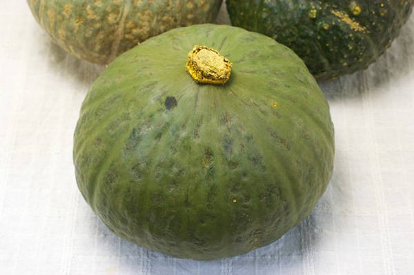 ̵ݡۼȺμۤä̳ƻClubϡϡv1000