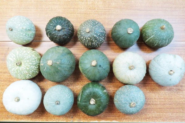 ̵ݡۼȺμۤä̳ƻClubϡϡv1000