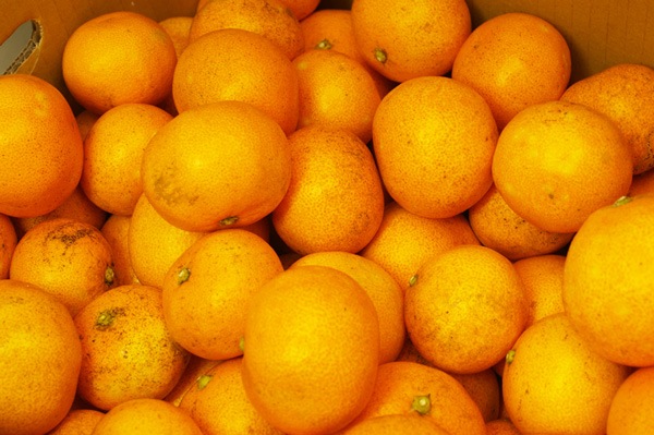 ̵ݡ۲ߥ5kg²λǷϡv5000