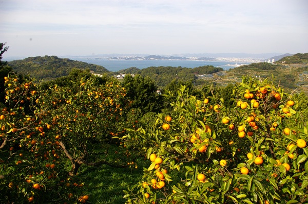 ̵ݡ۲ߥ5kg²λǷϡv5000