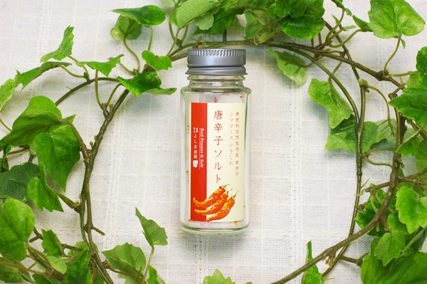 ̵ݡɻҥȡ͹⻳褷ˡŹȯۡv100