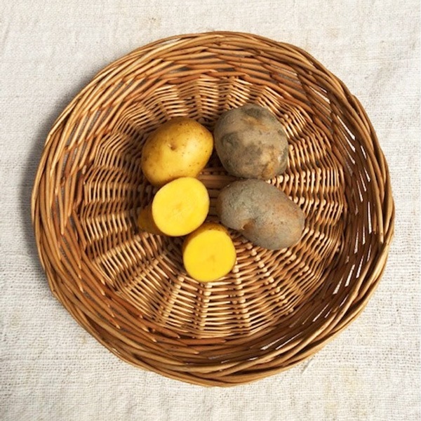 ��̵�������������ݡۤ��㤬����ʥ��󥫤Τᤶ���600g�����縩�����Ф�����ϡ�v600��